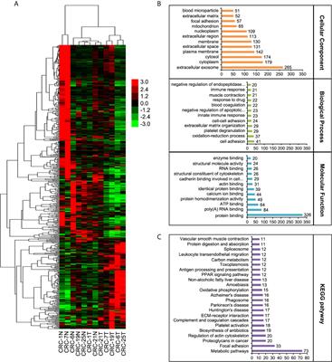 DDX54 Plays a Cancerous Role Through Activating P65 and AKT Signaling Pathway in Colorectal Cancer